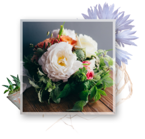 abonnement particuliers