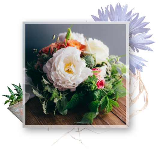 abonnement particuliers