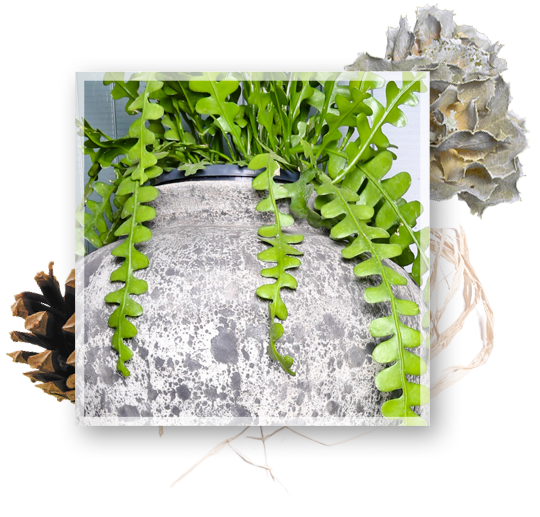 articles de décoration