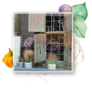 décoration de vitrine