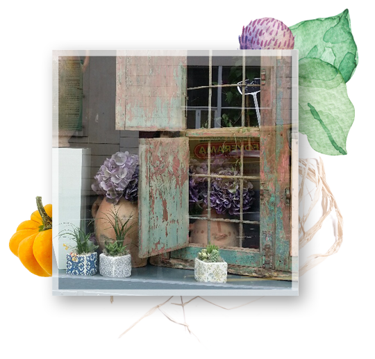 décoration de vitrine