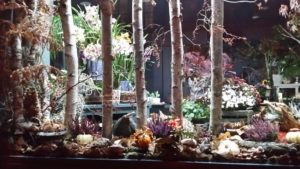ambiance d'automne