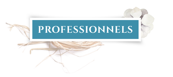 professionnels-page services aux professionnels