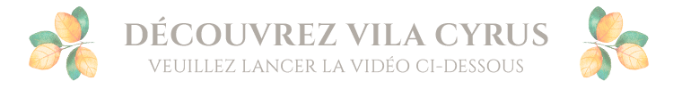 lancement-video video vila cyrus